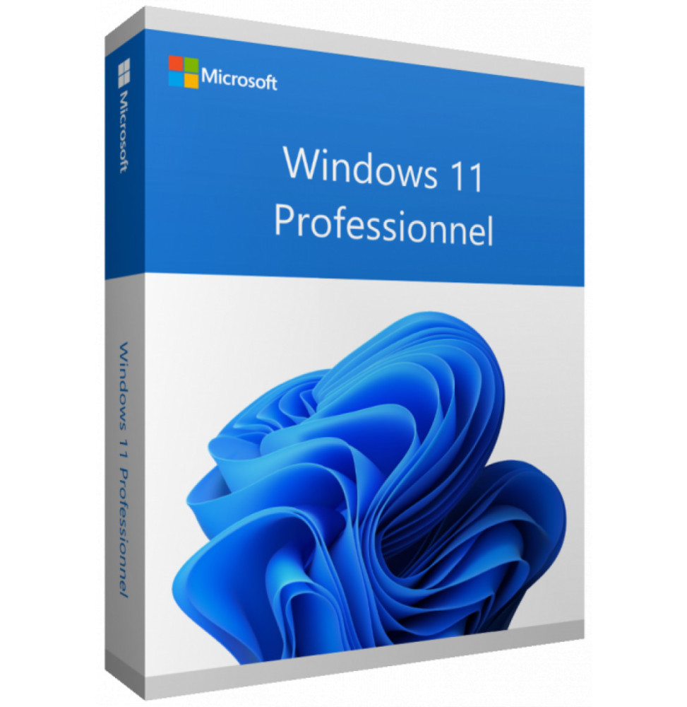 microsoft-windows-11-professionnel-64bit-1pk-dsp-oei-dvd-francais-fqc-10532.jpg